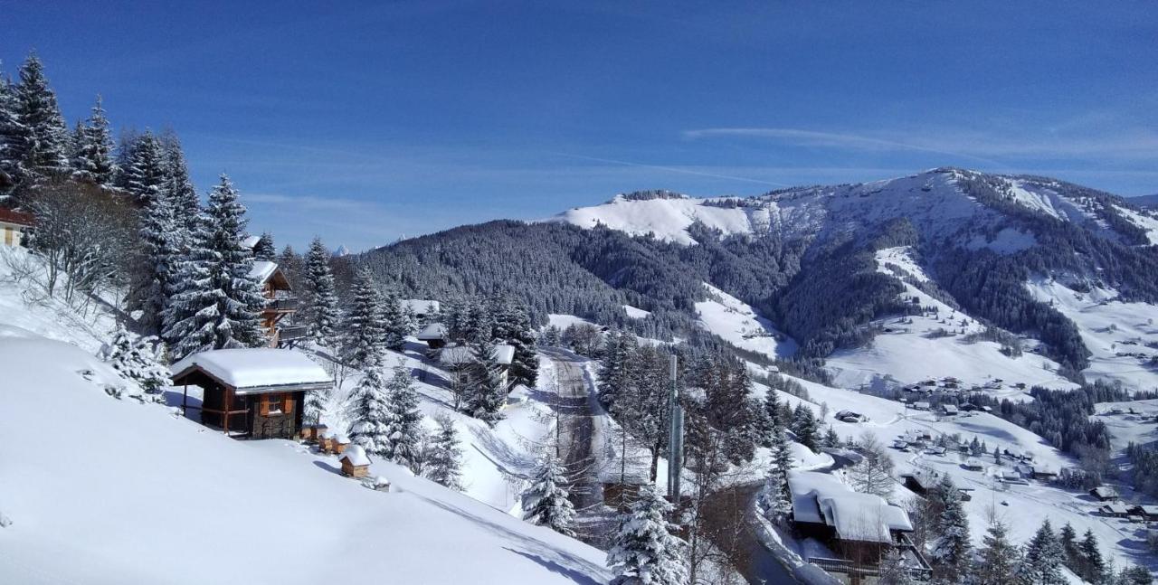 Demi Chalet Le Lachat Notre-Dame-de-Bellecombe Exterior foto